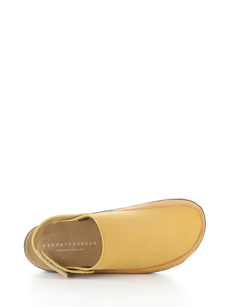 Chuck Camel Sling Back